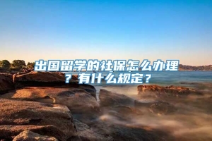 出国留学的社保怎么办理？有什么规定？