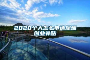 2020个人怎么申请深圳创业补贴