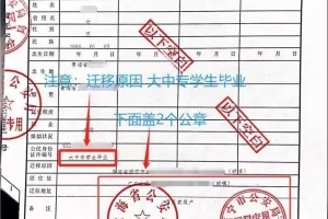 深圳应届毕业生入户调档的简单介绍