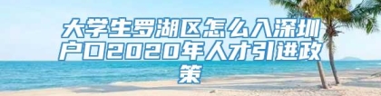 大学生罗湖区怎么入深圳户口2020年人才引进政策