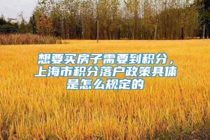 想要买房子需要到积分，上海市积分落户政策具体是怎么规定的