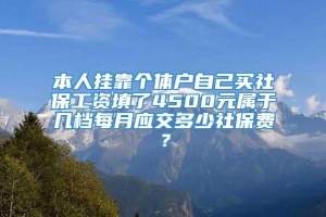 本人挂靠个体户自己买社保工资填了4500元属于几档每月应交多少社保费？