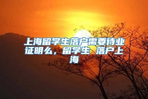 上海留学生落户需要待业证明么，留学生 落户上海