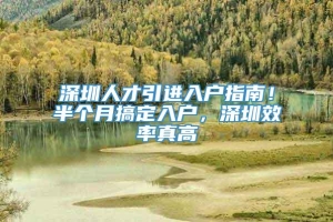 深圳人才引进入户指南！半个月搞定入户，深圳效率真高