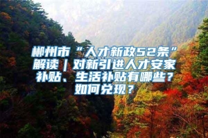 郴州市“人才新政52条”解读｜对新引进人才安家补贴、生活补贴有哪些？如何兑现？