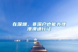 在深圳，非深户也能办理港澳通行证