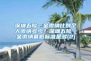 深圳五险一金缴纳比例个人缴纳多少？深圳五险一金缴纳最低标准是多(2)