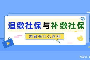 追缴社保与补缴社保有哪些区别