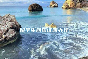 留学生回国证明办理