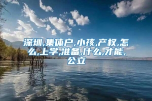 深圳,集体户,小孩,产权,怎么,上学,准备,什么,才能,公立