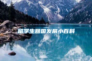 留学生回国发展小百科