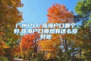 广州户口 珠海户口哪个好,珠海户口竟然有这么多好处