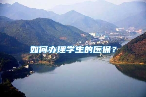 如何办理学生的医保？