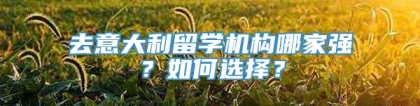 去意大利留学机构哪家强？如何选择？