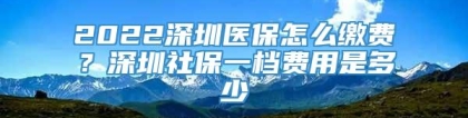 2022深圳医保怎么缴费？深圳社保一档费用是多少