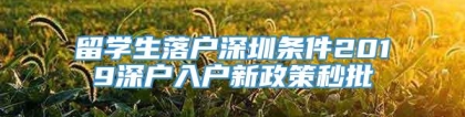 留学生落户深圳条件2019深户入户新政策秒批