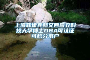 上海菲律宾新艾西国立科技大学博士DBA可认证可积分落户