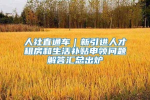 人社直通车｜新引进人才租房和生活补贴申领问题解答汇总出炉