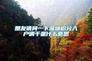 朋友请问一下深圳积分入户调干是什么意思