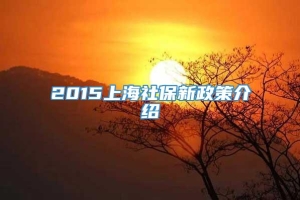 2015上海社保新政策介绍
