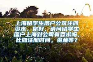 上海留学生落户公司注册资本，你好，请问留学生落户上海对公司有要求吗，比如注册时间，资金等？