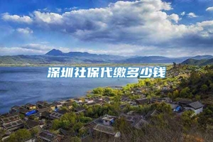 深圳社保代缴多少钱