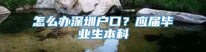 怎么办深圳户口？应届毕业生本科