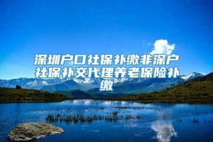 深圳户口社保补缴非深户社保补交代理养老保险补缴