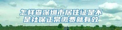 怎样查深圳市居住证是不是社保正常缴费就有效