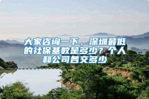 大家咨询一下，深圳最低的社保基数是多少？个人和公司各交多少