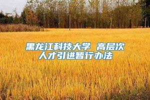 黑龙江科技大学 高层次人才引进暂行办法