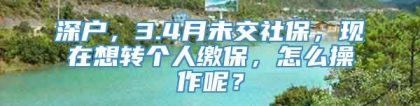 深户，3.4月未交社保，现在想转个人缴保，怎么操作呢？