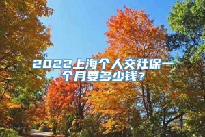 2022上海个人交社保一个月要多少钱？